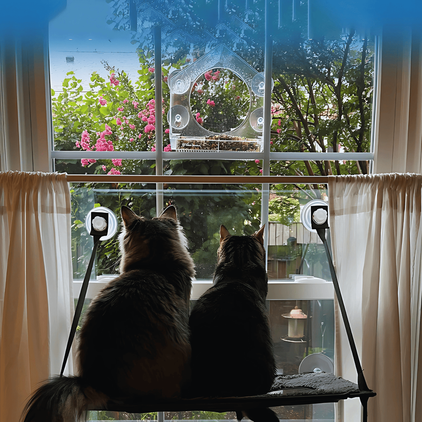 Minkito™ CatView Feeder